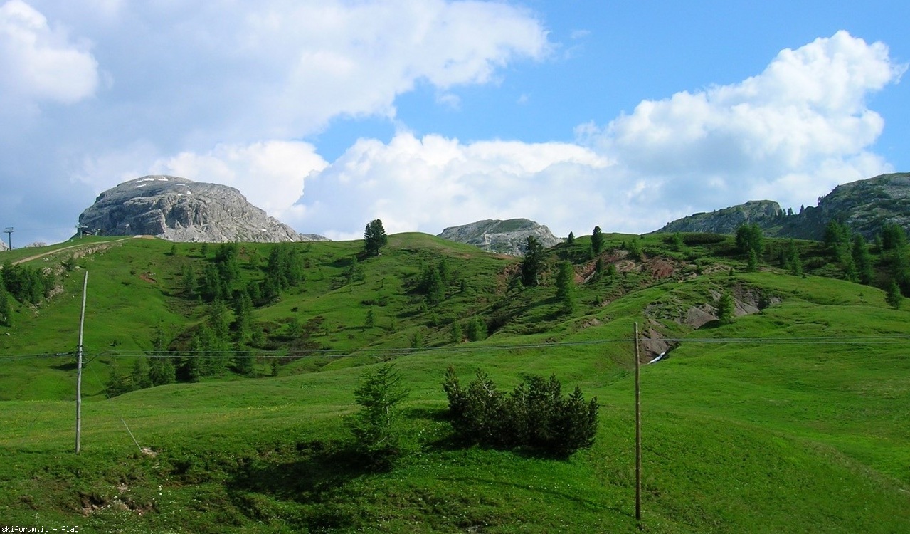 146949-dscn4054.jpg