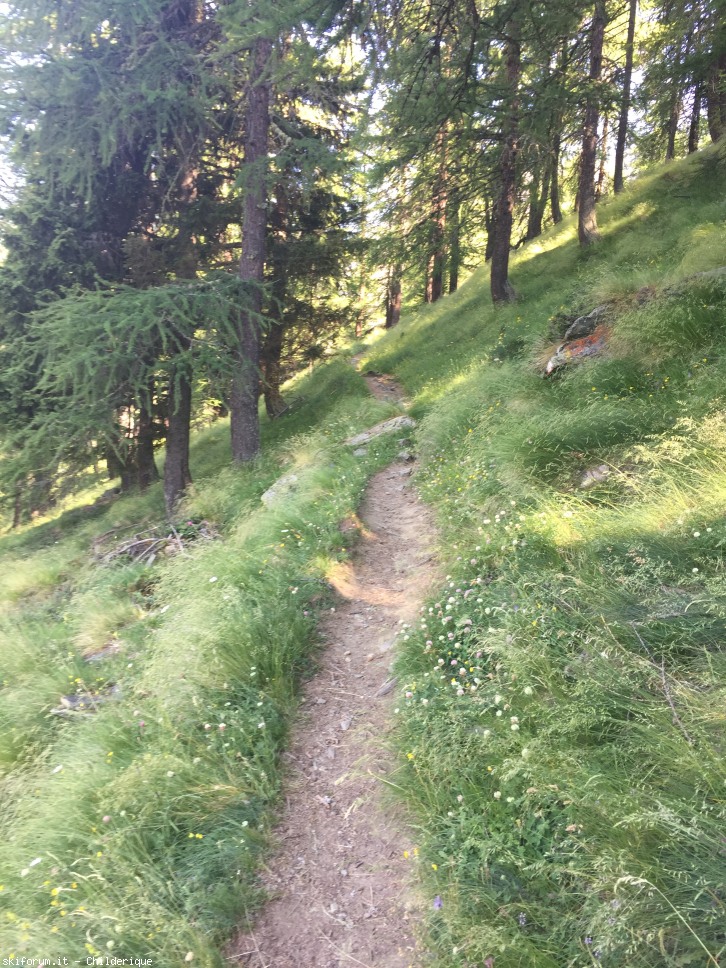 147841-img0578.jpg