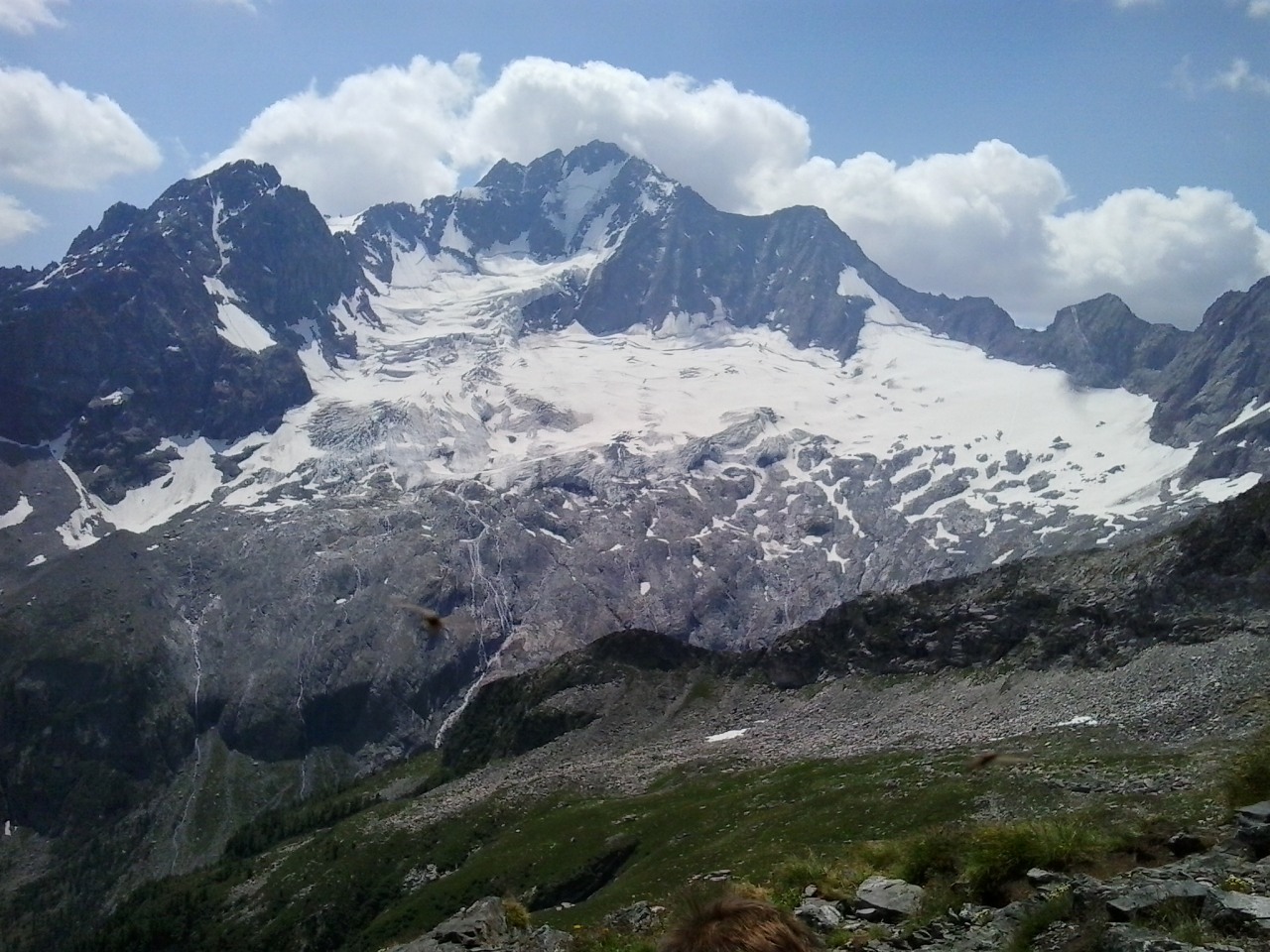147842-20150712122544.jpg