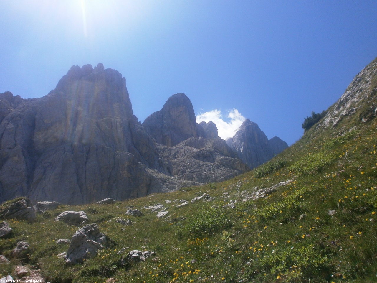 148493-p7114017.jpg