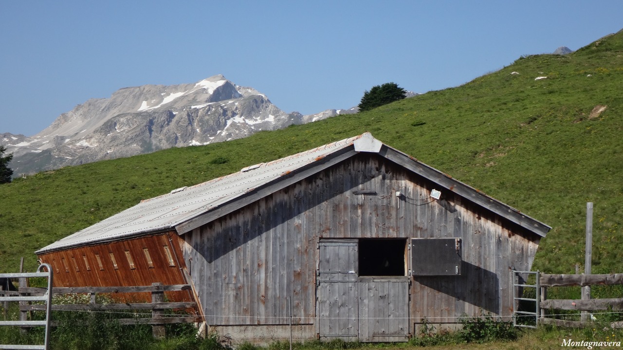 148551-piz-martegnas-045-copia.jpg