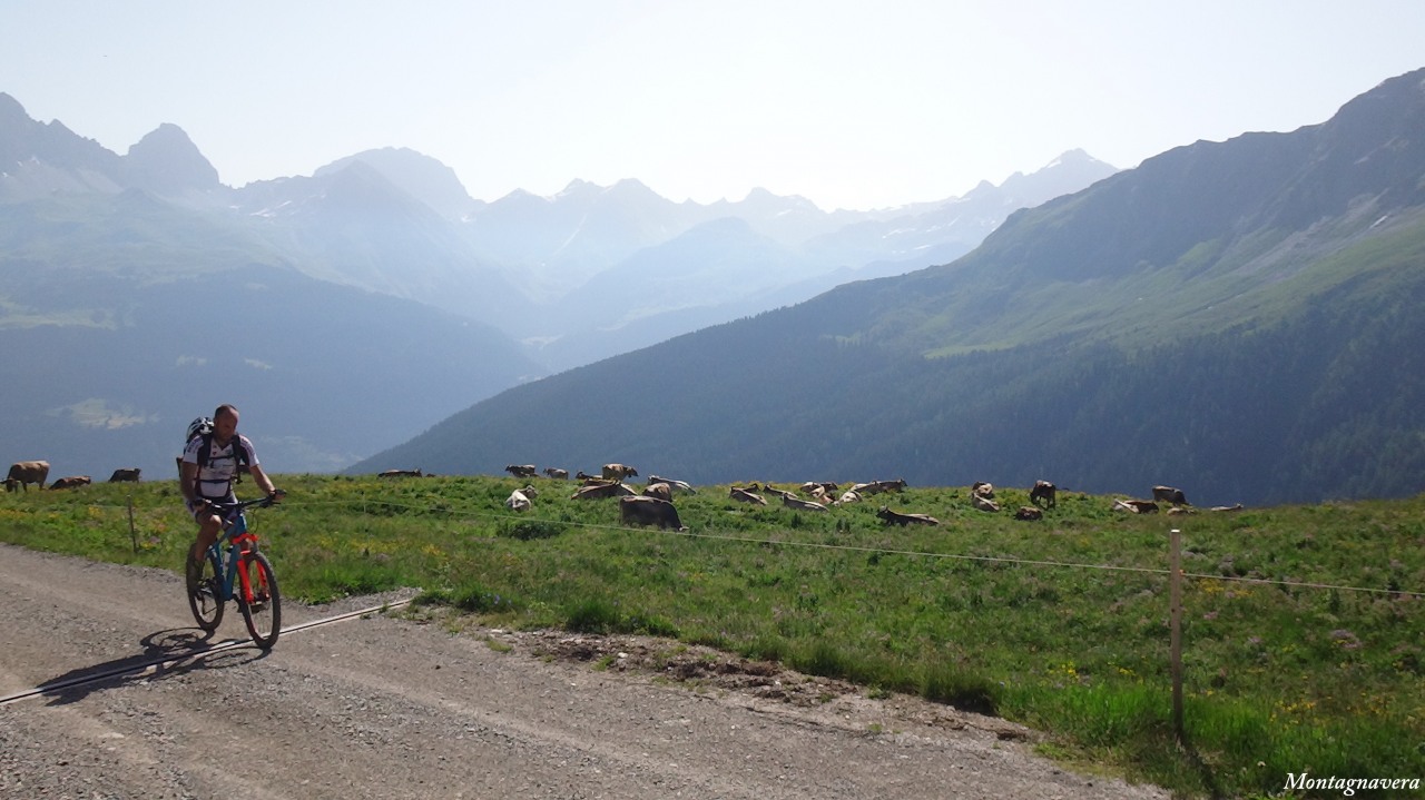 148554-piz-martegnas-055-copia.jpg
