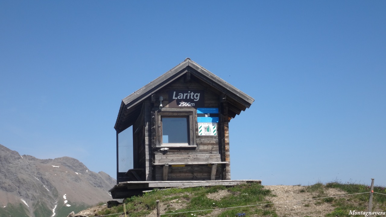 148564-piz-martegnas-255-copia.jpg