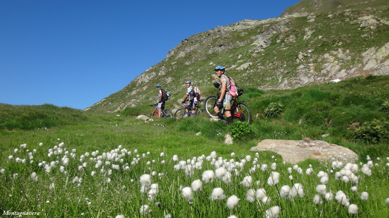 148618-pizzo-centrale-144-copia.jpg