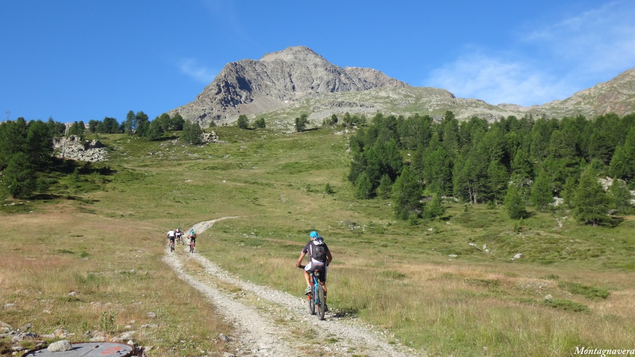 148839-piz-trovat-020-copia.jpg