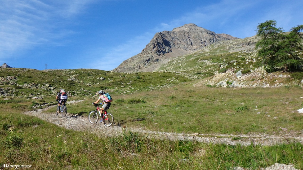 148841-piz-trovat-032-copia.jpg