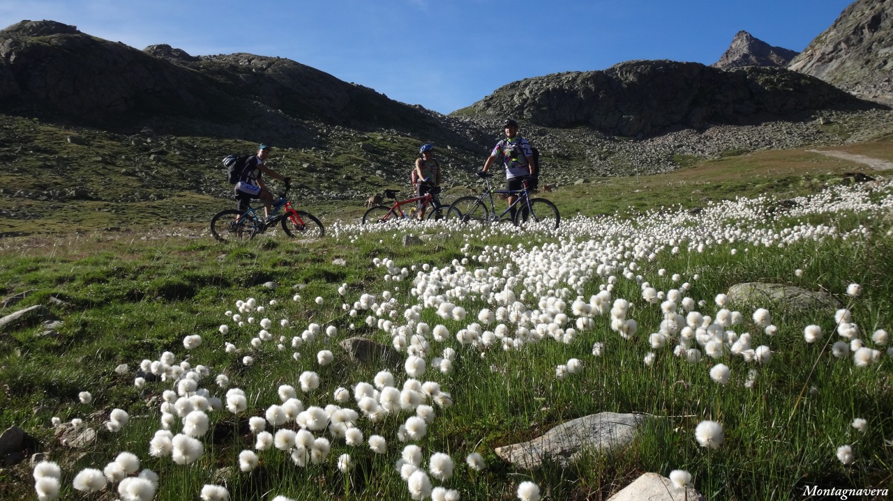 148842-piz-trovat-041-copia.jpg