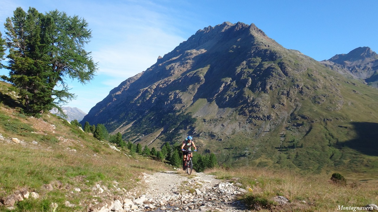 148843-piz-trovat-203-copia.jpg