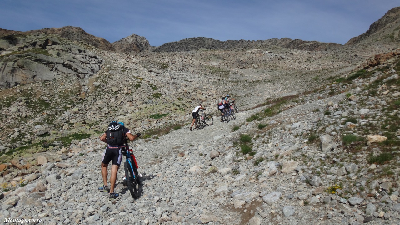 148848-piz-trovat-064-copia.jpg