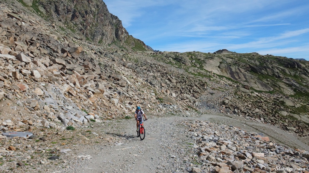 148850-piz-trovat-222-copia.jpg