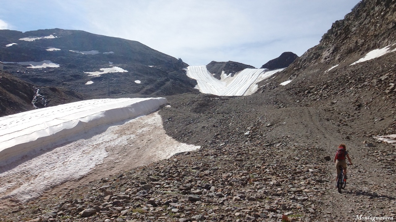 148855-piz-trovat-232-copia.jpg