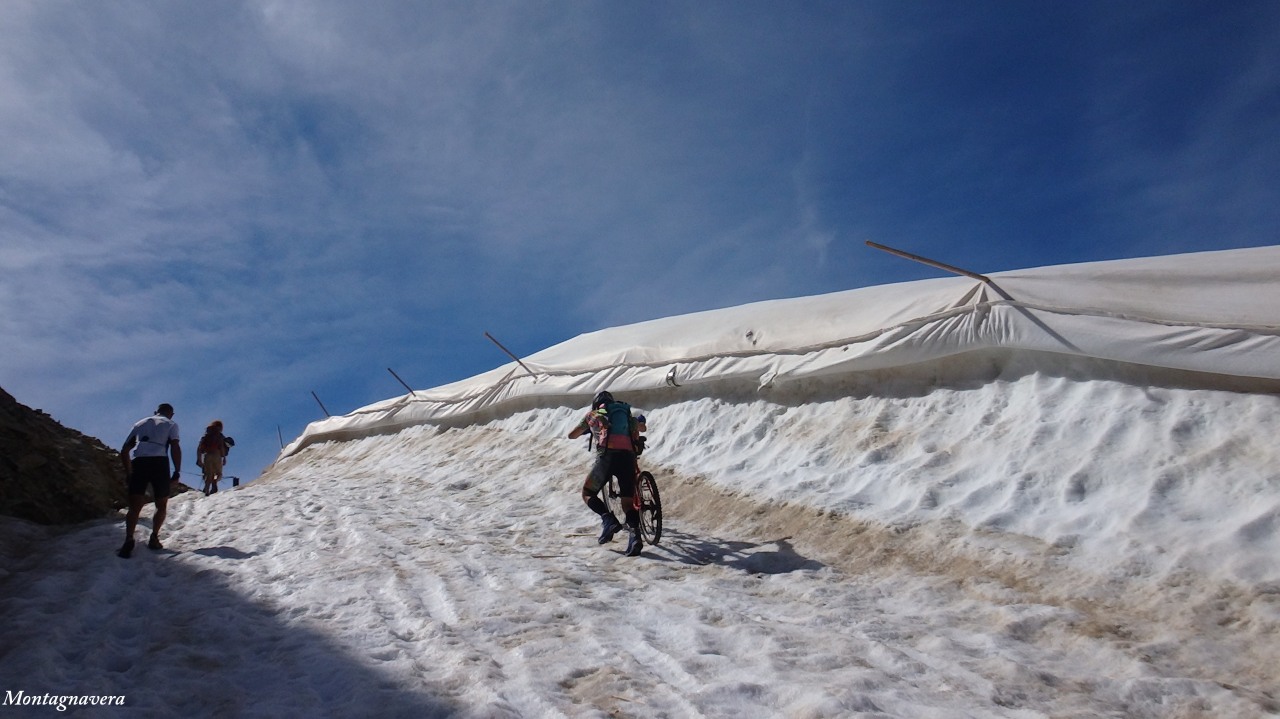 148859-piz-trovat-250-copia.jpg