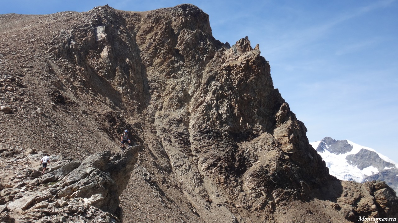 148863-piz-trovat-261-copia.jpg