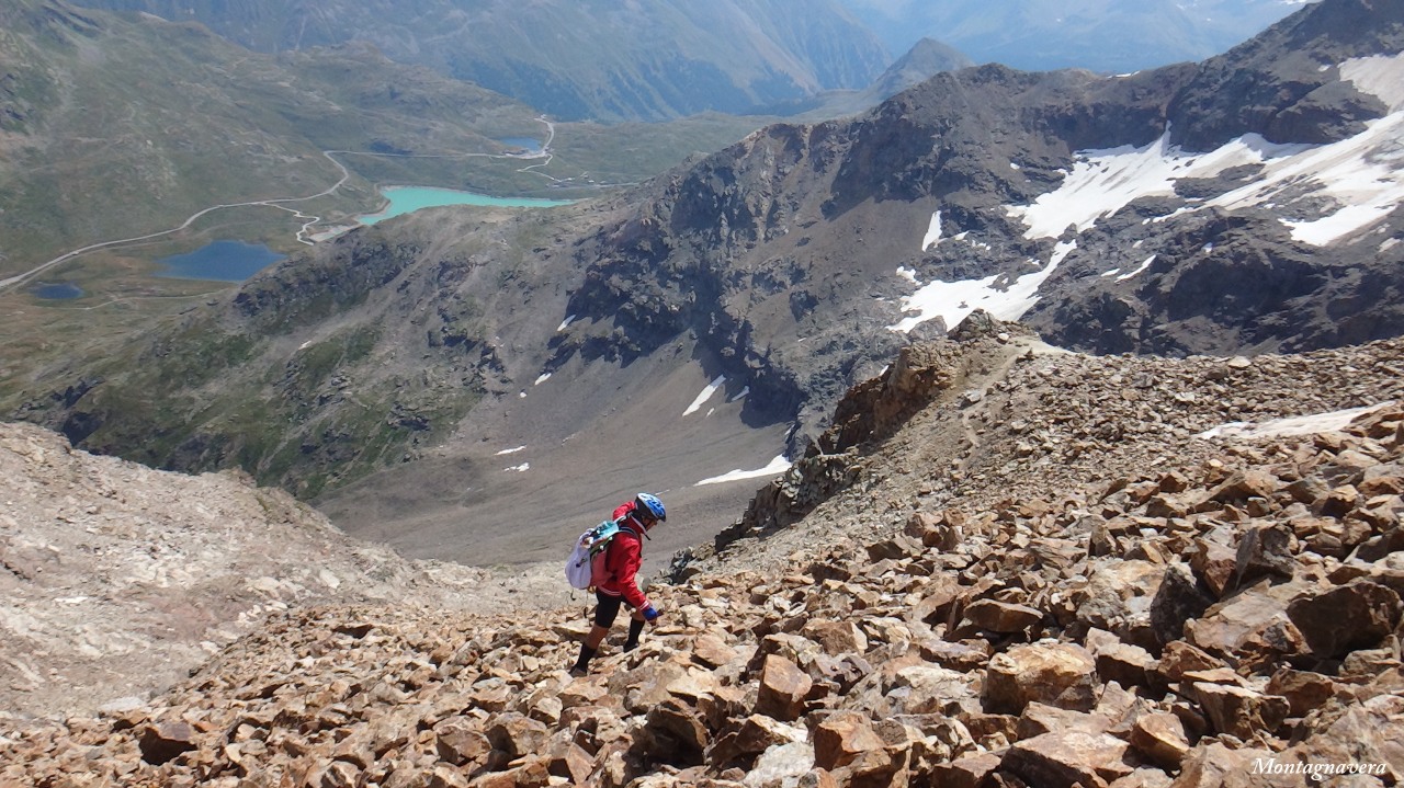 148864-piz-trovat-269-copia.jpg