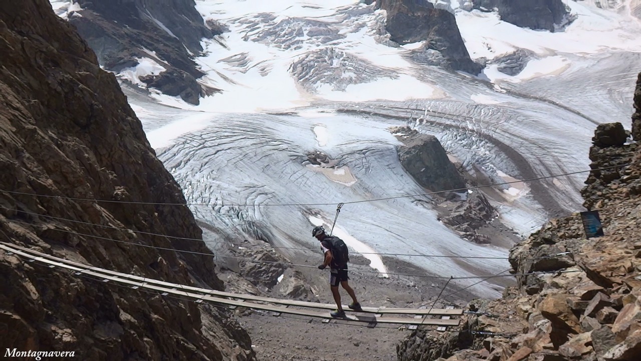 148870-piz-trovat-1091.jpg