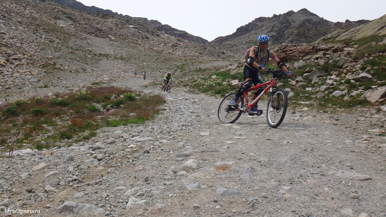 148881-piz-trovat-120-copia.jpg