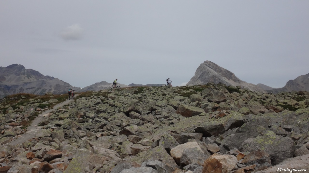 148883-piz-trovat-381-copia.jpg
