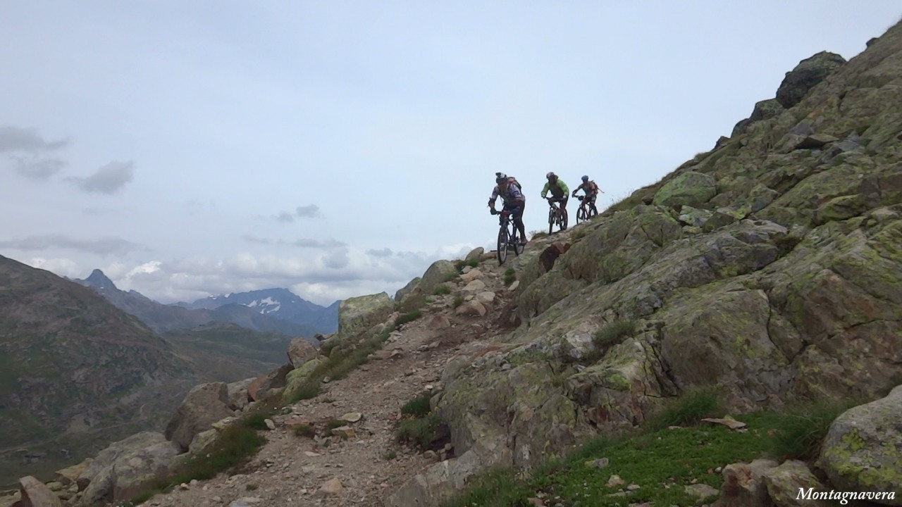148884-piz-trovat-3871.jpg
