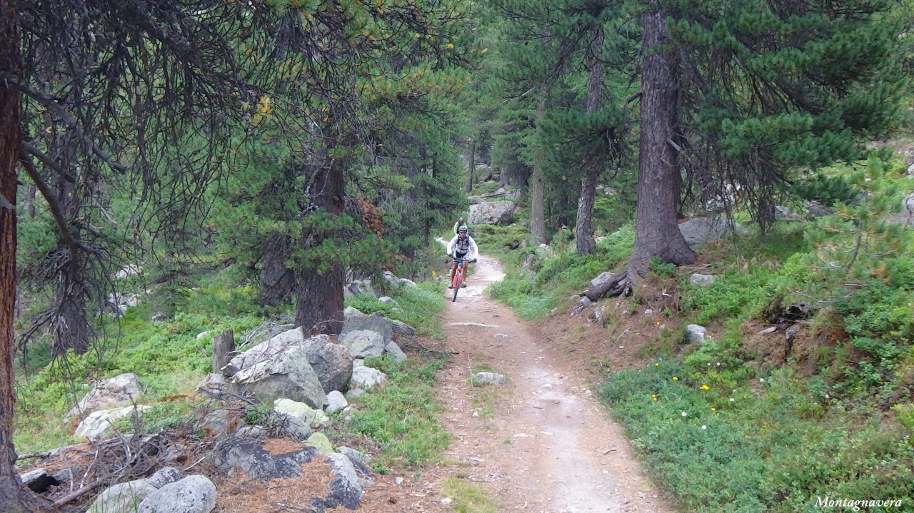 148999-piz-trovat-168-copia.jpg