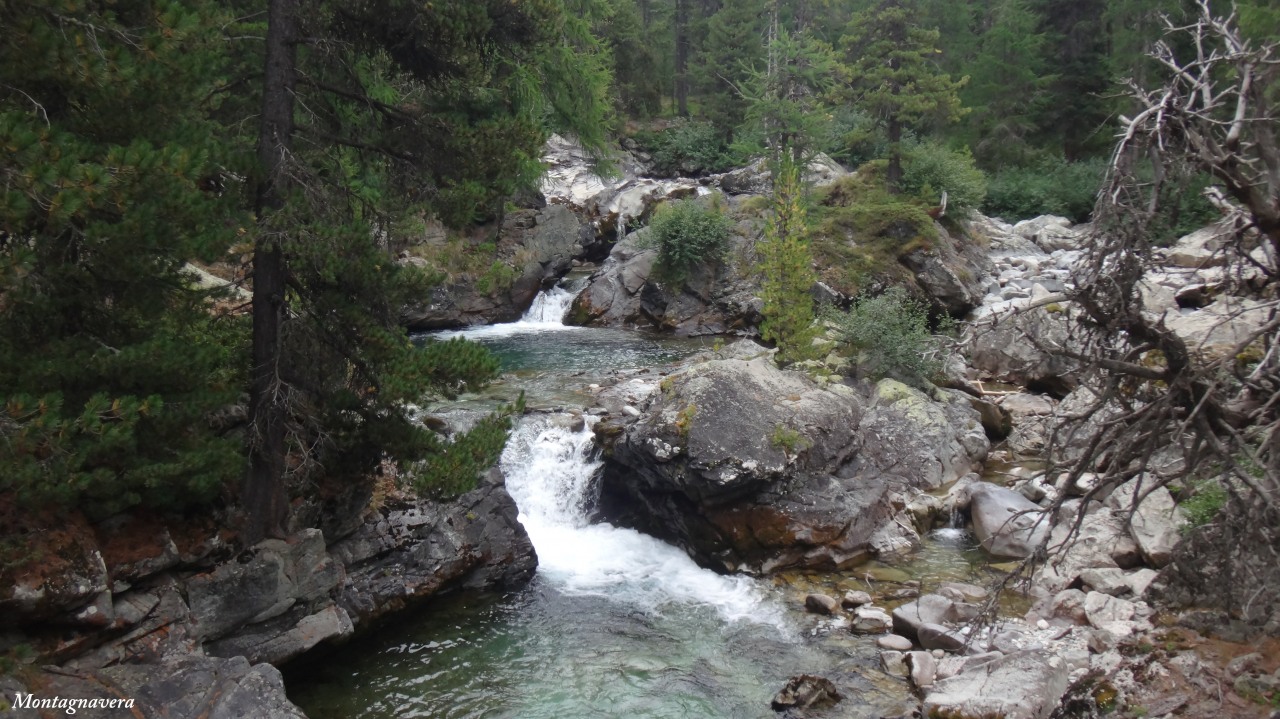 149001-piz-trovat-173-copia.jpg