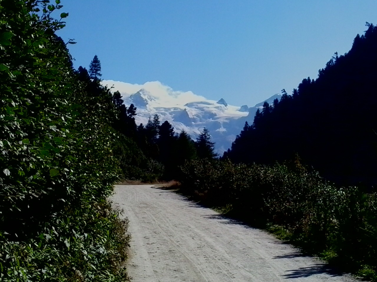 149397-20150829164517.jpg