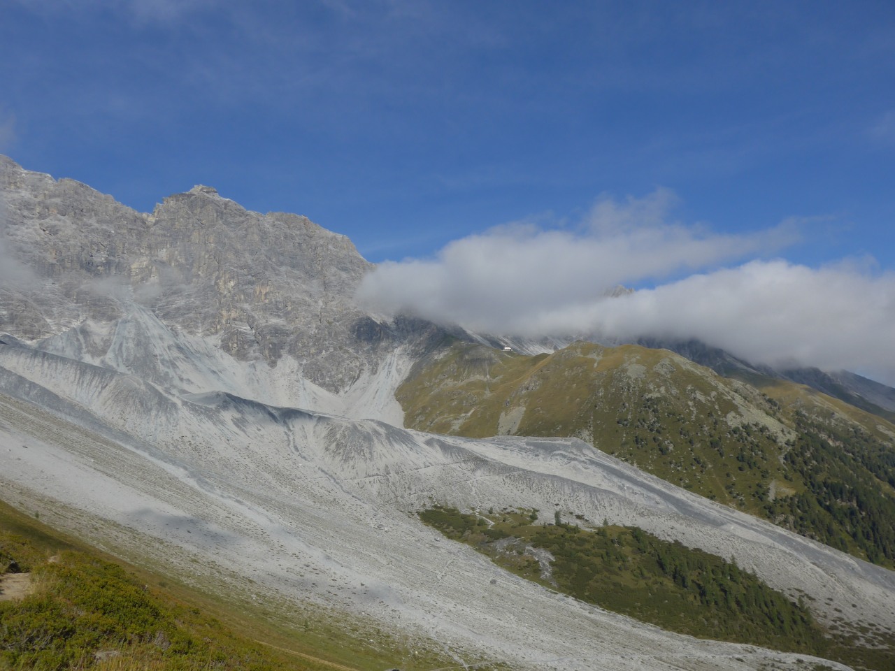149771-p1010840.jpg