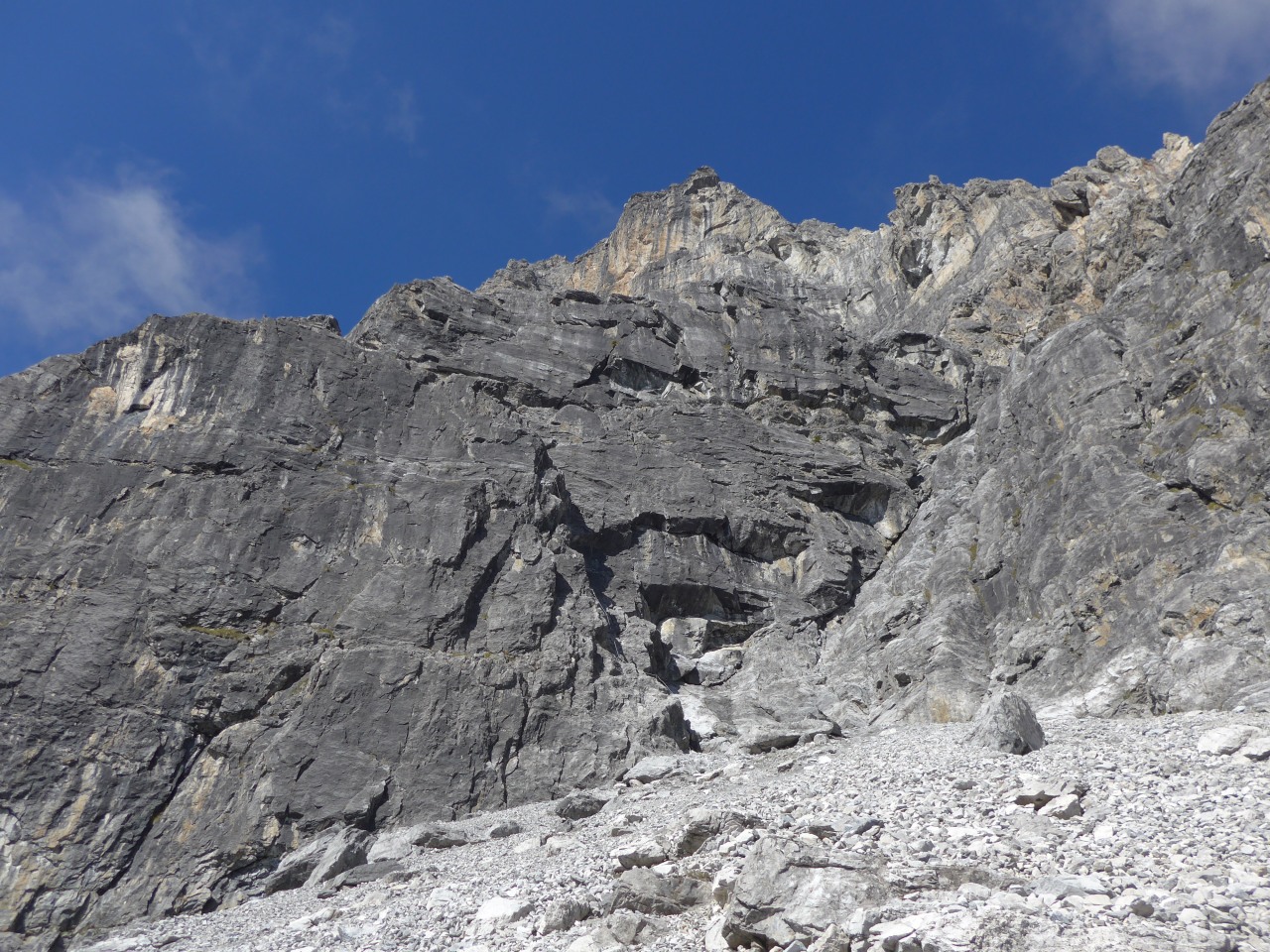 149789-p1010864.jpg