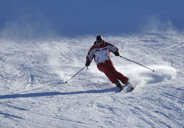 15013-scisci-1.jpg