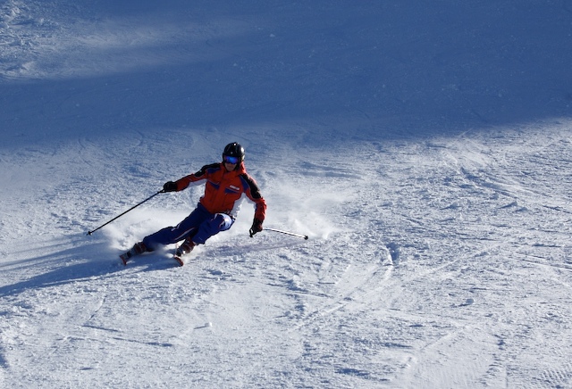 15014-scisci-2.jpg