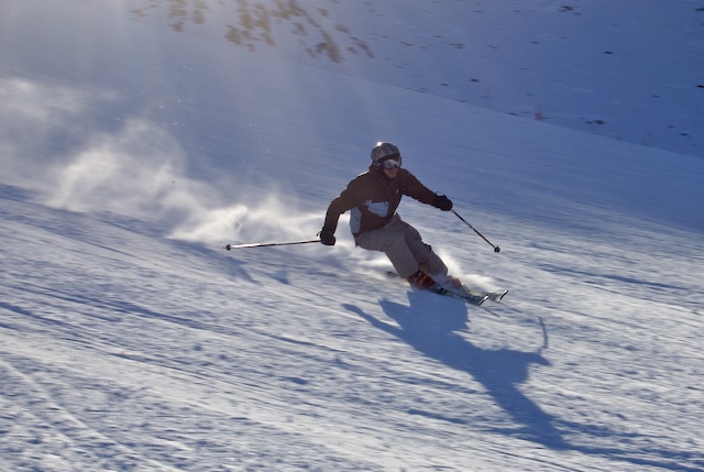 15015-scisci-3.jpg