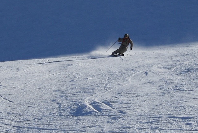 15017-scisci-6.jpg