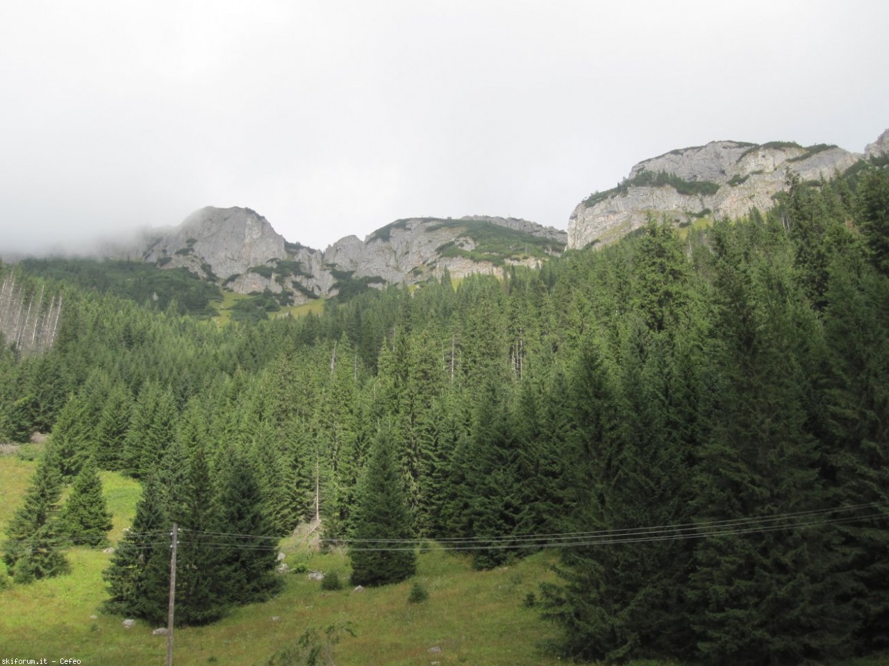 150474-img3564.jpg