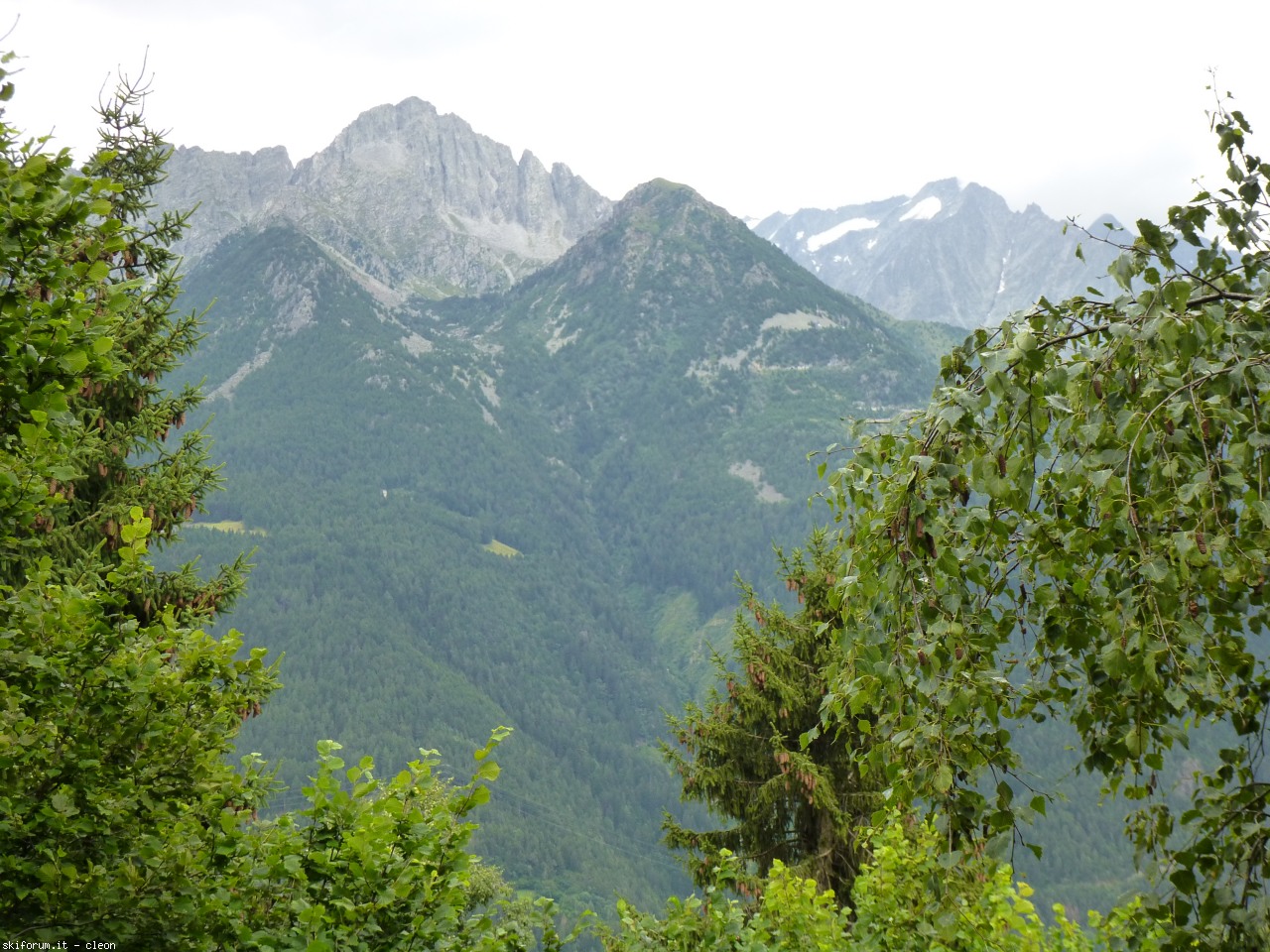 151588-p1000184.jpg