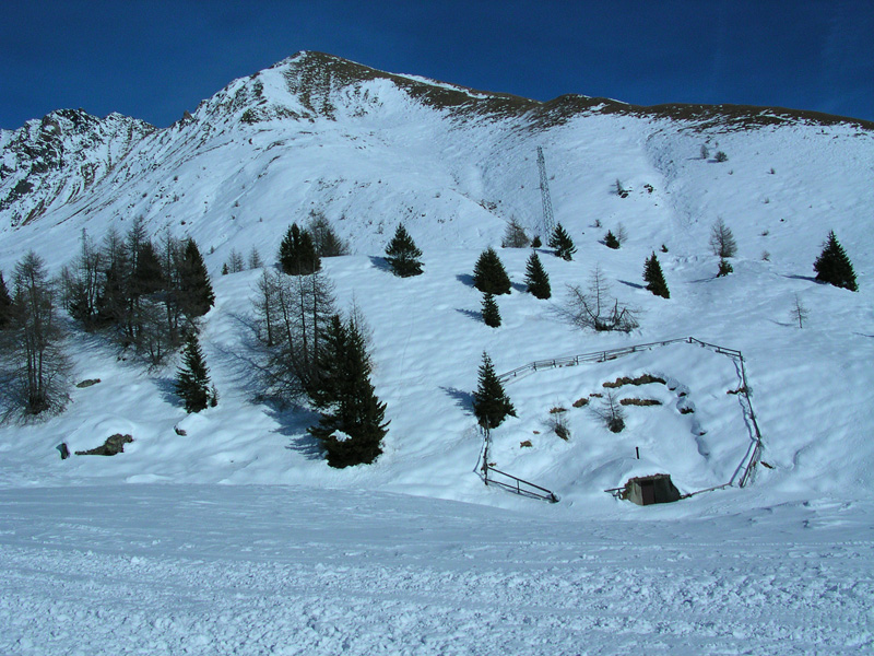 15457-dscn3107.jpg
