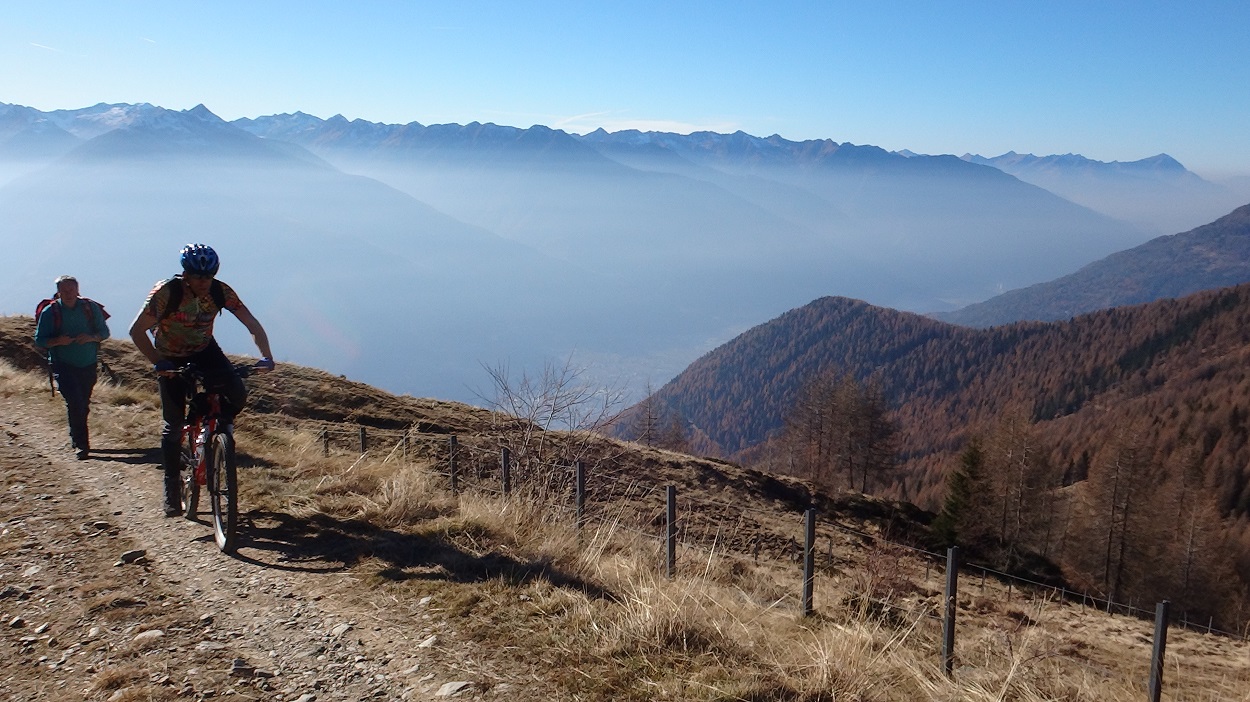 155385-dosso-liscio-124-copia.jpg