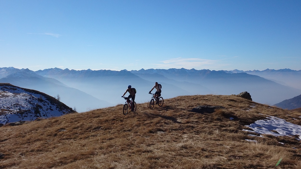 155387-dosso-liscio-143-copia.jpg