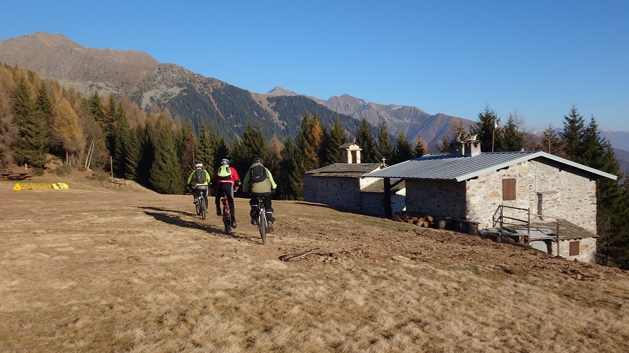 155404-dosso-liscio-243-copia.jpg