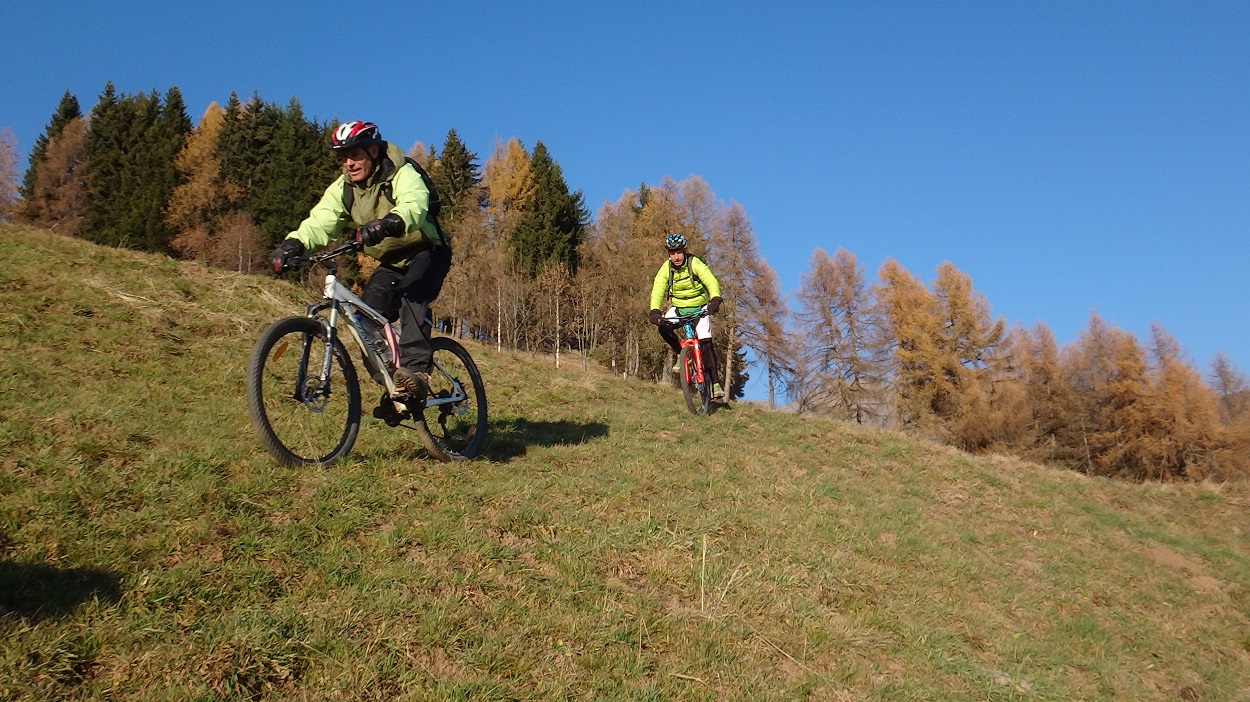 155406-dosso-liscio-274-copia.jpg