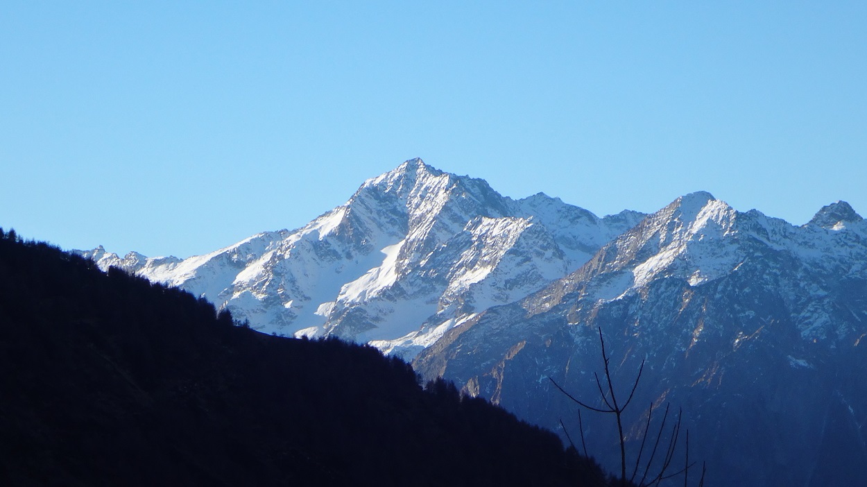 156562-ercavallo-vetta-039-copia.jpg