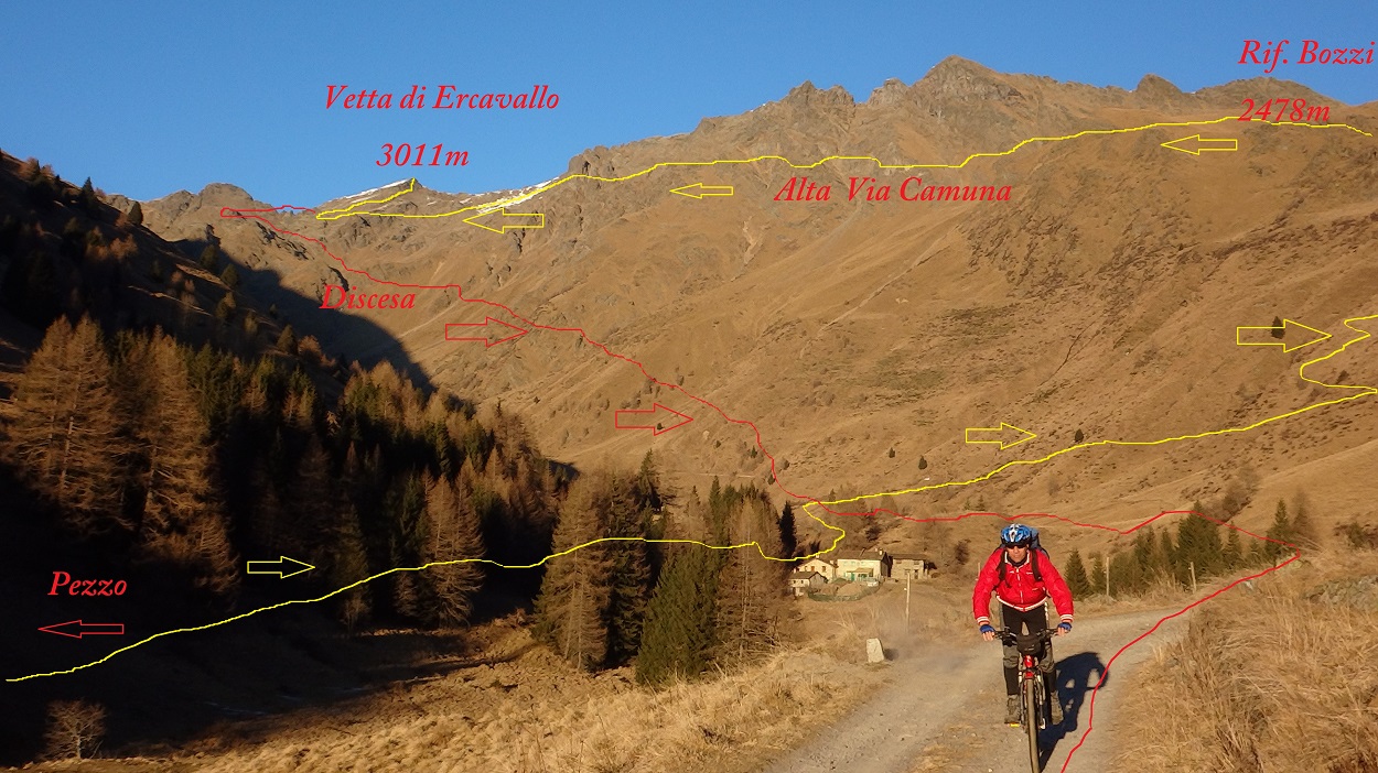 156583-ercavallo-vetta-314-copia-copia.jpg