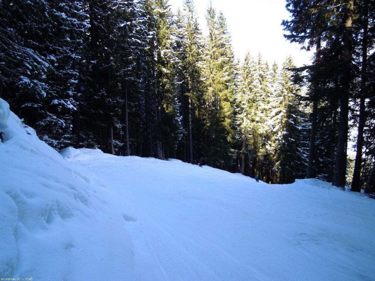 157665-dscn4610.jpg