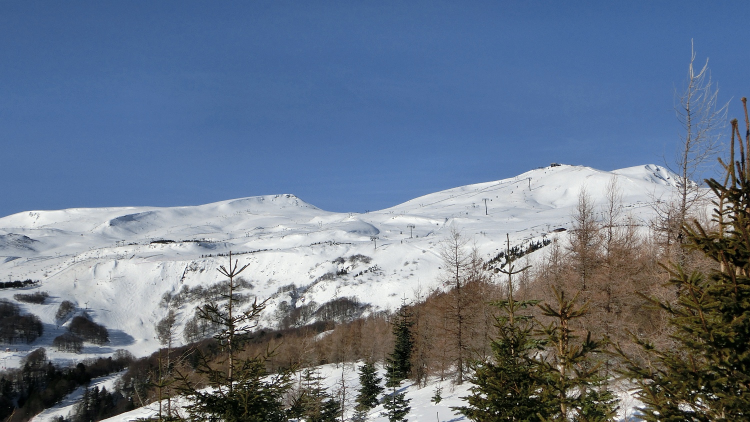 159563-cimg9185.jpg