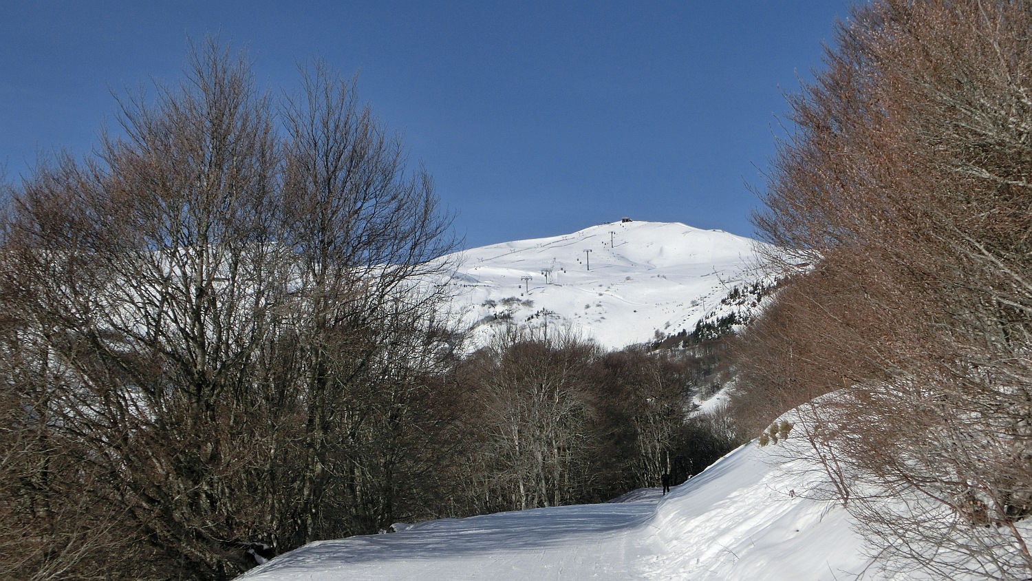159564-cimg9190.jpg