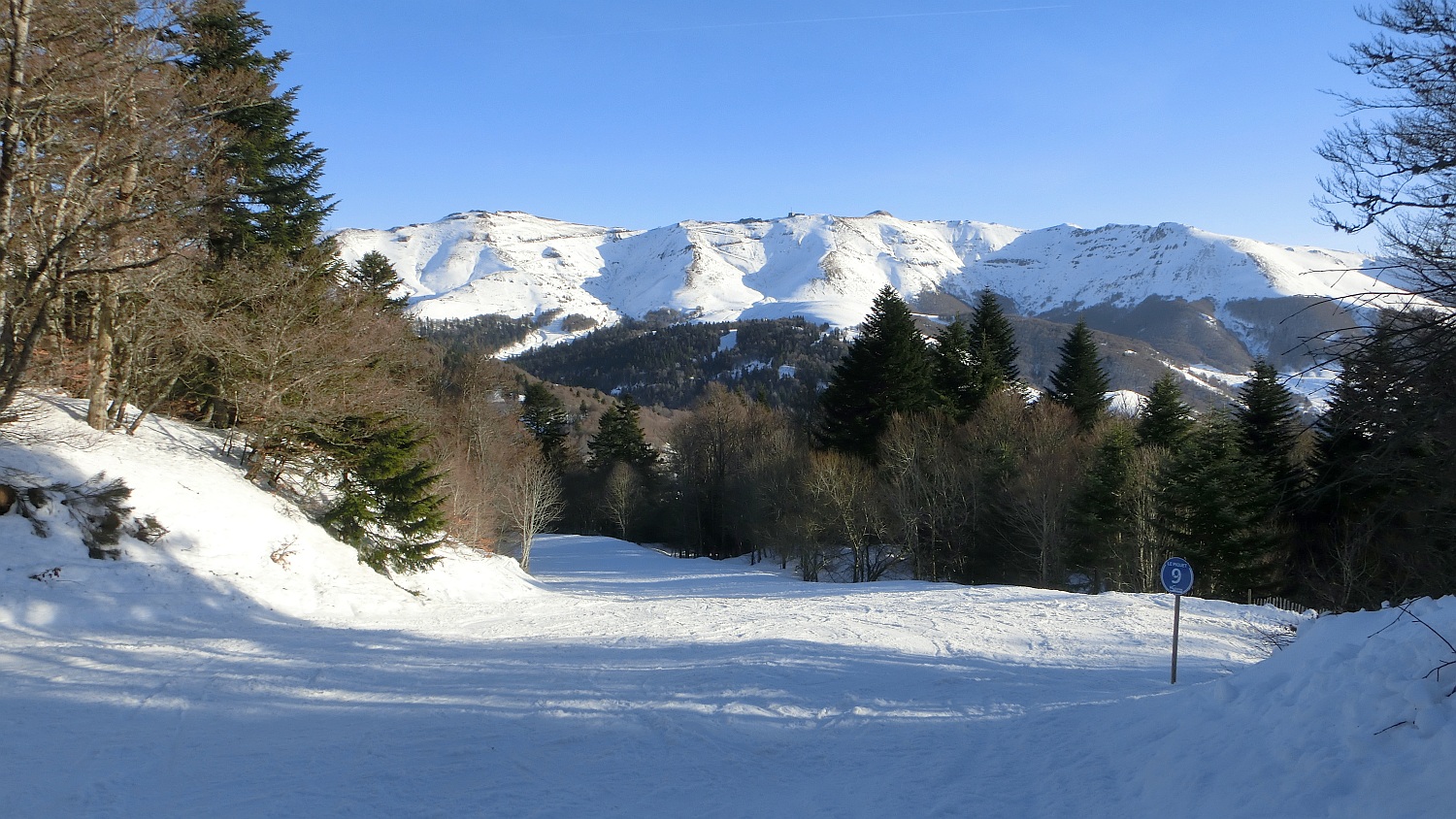 159993-cimg9447.jpg