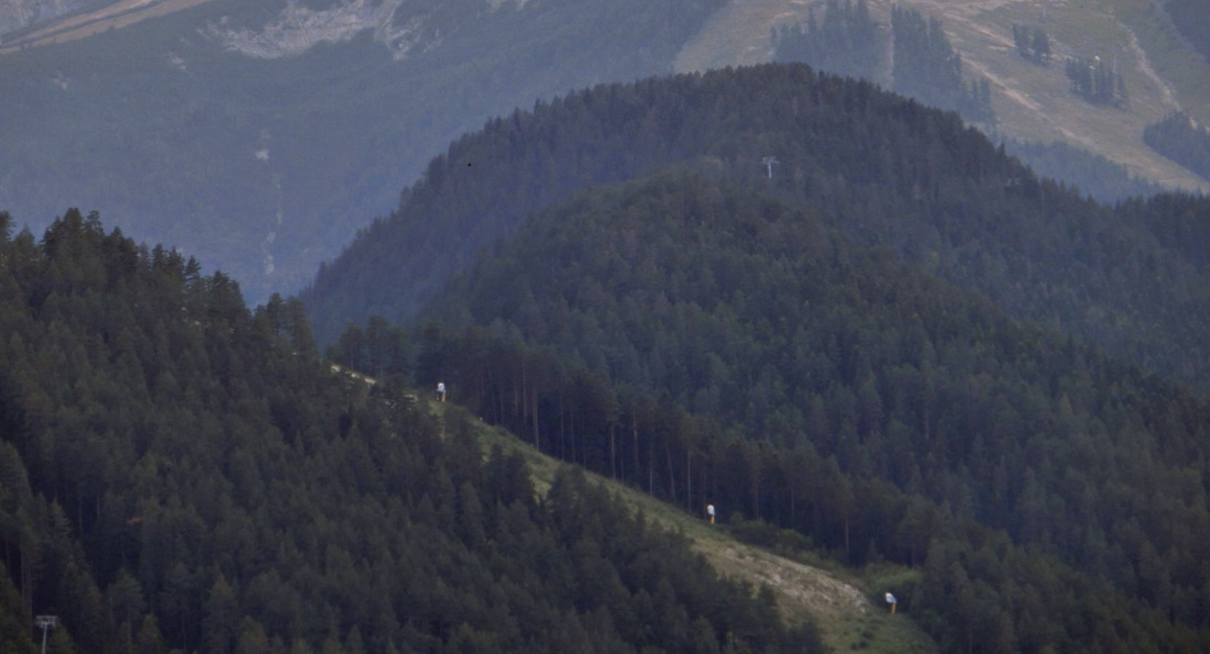 160362-wlftralepiante3.jpg