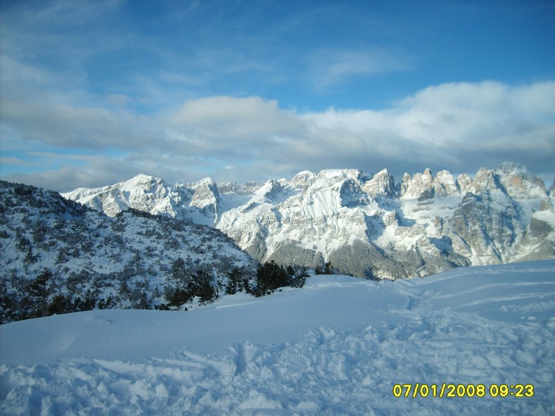 16354-s5000251.jpg
