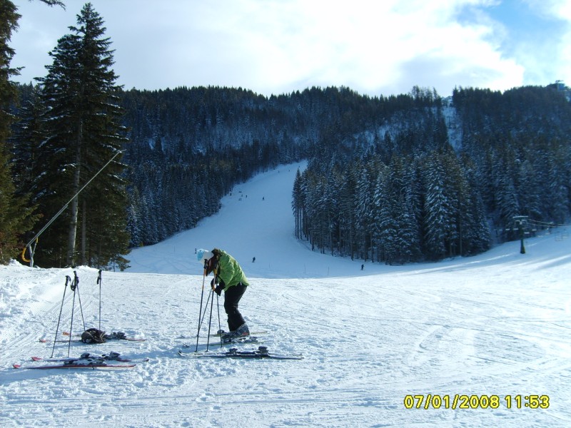 16365-s5000269.jpg