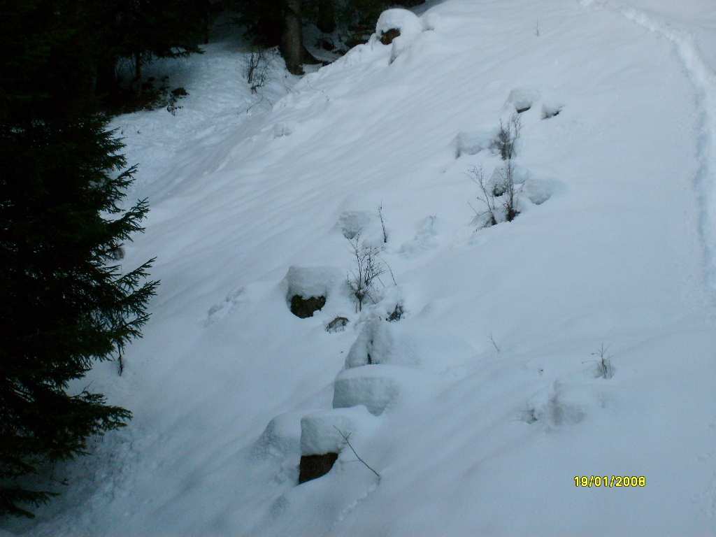 16460-3-neve-fresca-stto-seggiovia.jpg