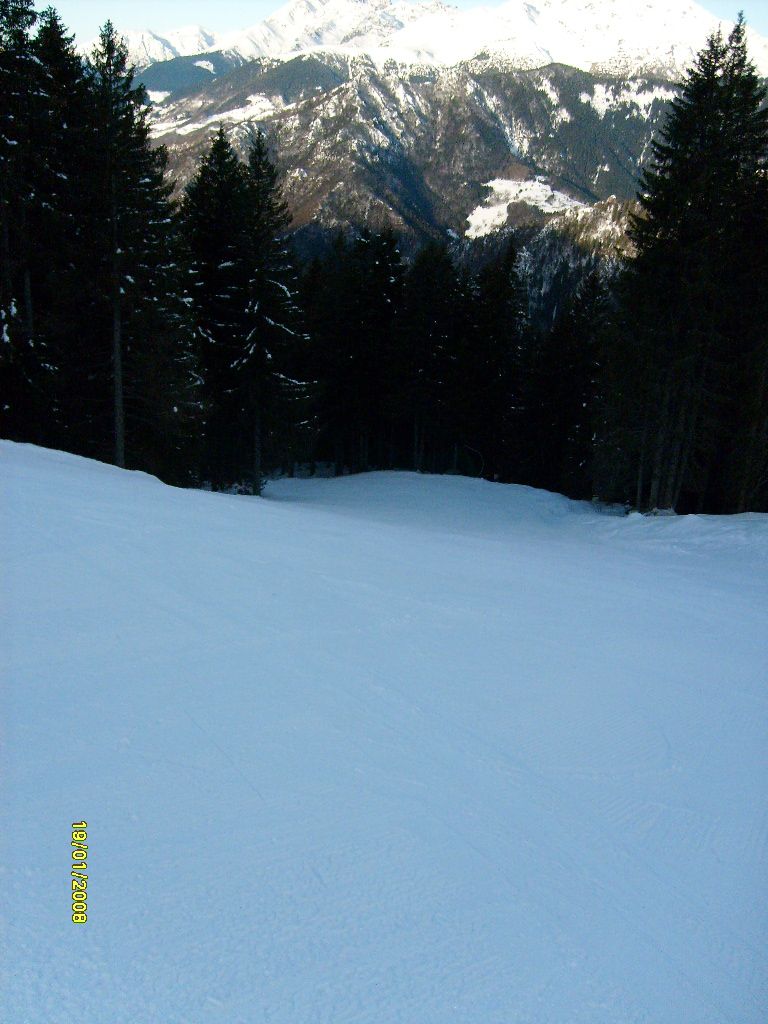 16465-8-inizio-pista-del-bosco.jpg