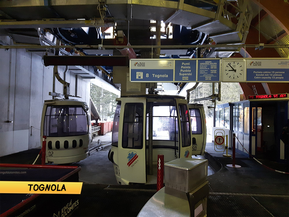 165625-tognola01.jpg